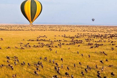 Nairobi: 3-Day epic trip to Maasai Mara Reserve with meals 3 days, 2 nights private safari to Mara in a tourist VAN