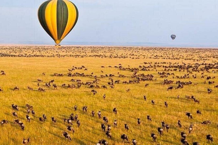 Nairobi: 3-Day epic trip to Maasai Mara Reserve with meals 3 days, 2 nights private safari to Mara in a tourist VAN