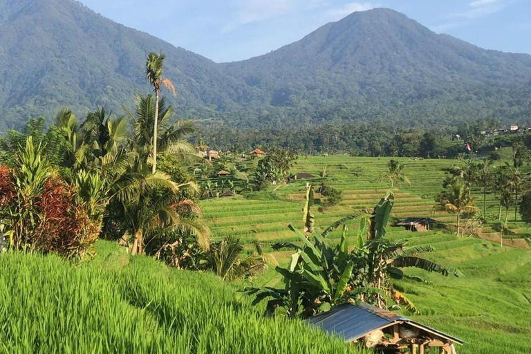 Bali: Floating Temple, Jatiluwih & Hidden Waterfall Private- All Inclusive