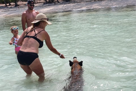 Nassau: Rose Island Swimming Pigs & Turtles Snorleking Tour