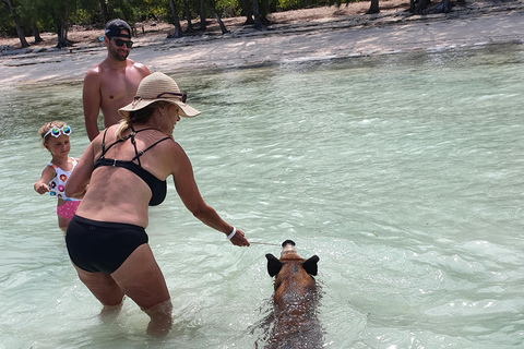 Nassau: Rose Island Swimming Pigs & Turtles Snorleking Tour