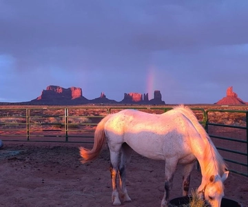 Monument Valley: Horseback Adventure Tour
