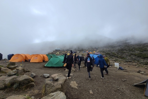 Challenge Kilimanjaro: 6-Day Umbwe Route Trek
