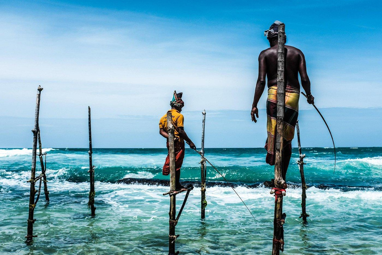 Explore Sri Lanka’s South Coast - Galle One Day City Tour