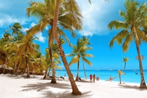 Private: Saona Island Escape with Lunch and Open Bar