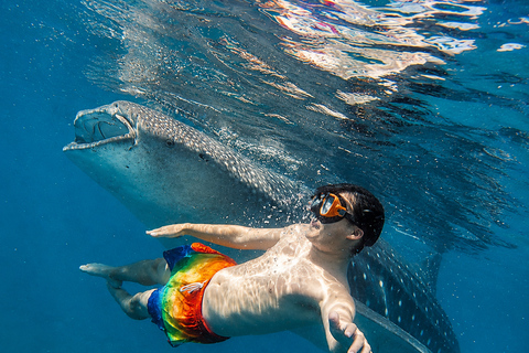 Cebu: Oslob Whale Shark, Kawasan Canyoneering & Free GoPro