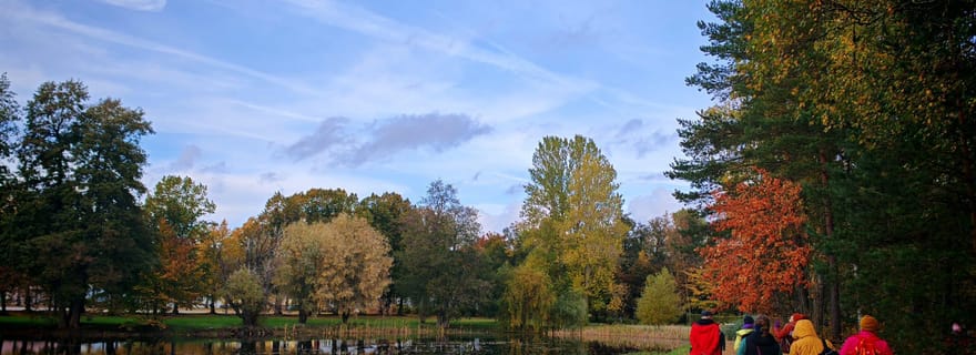 Visite privée de l'esprit de la forêt à Tampere