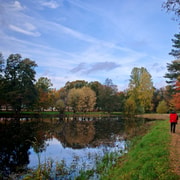 Private Forest Mind Tour in Tampere