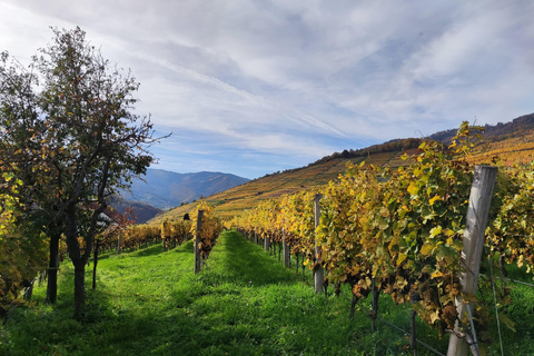 Vienne : Vallée du Danube : 3 châteaux et dégustation de vins