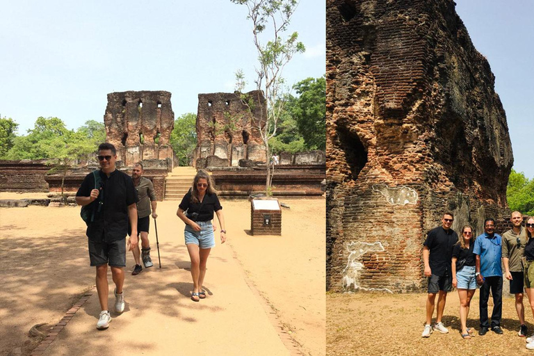 Excursión de un día a Minneriya Wild Safari y Polonnaruwa Sightseeing