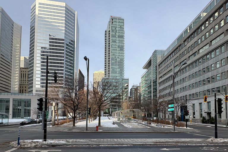 Half day city tour Montreal luxury SUV