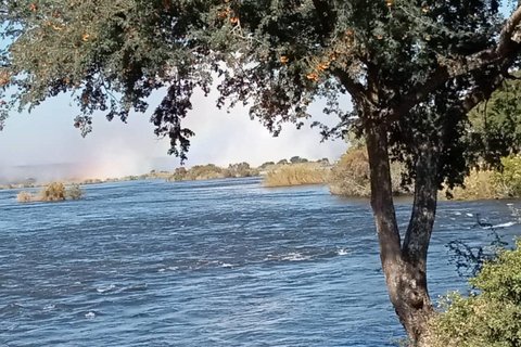 Victoria Falls: Guided Tour with Devil's Pool Viewpoint