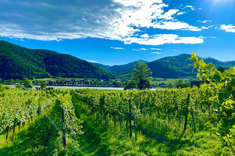 From Vienna: Wachau Valley Tour with Melk Abbey Visit