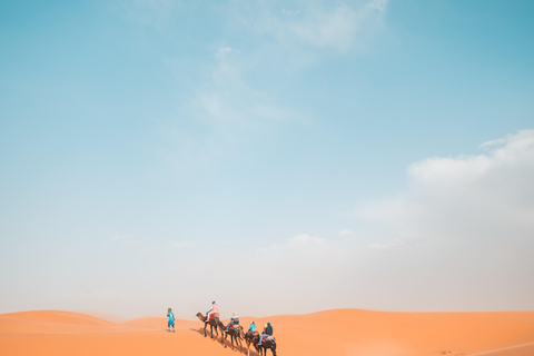 Escala en Doha Excursión por el desierto, paseo en camello y mar interiorSafari por el desierto con paseo en camello