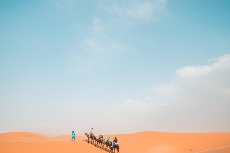 Você pode fazer uma parada em Doha para uma excursão pelo deserto, passeio de camelo e mar interiorSafári no deserto com passeio de camelo