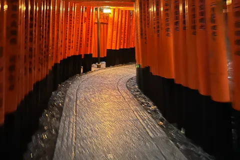 Da Osaka/Kyoto:Tour privato di un giorno Kyoto-Nara