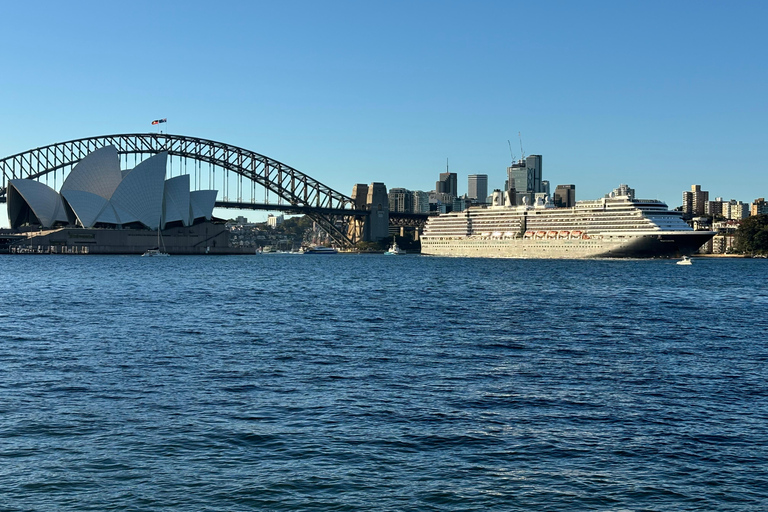 Sydney: city tour particular pelo porto e por Bondi com transferSydney: Excursão particular pela cidade, pelo porto e por Bondi com transporte