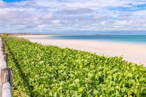 Broome: Panorámica y Descubrimiento - Excursión matinal con traslados
