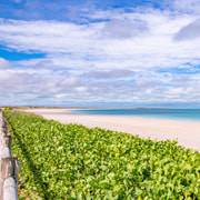 Broome: Panoramic and Discovery - Morning Tour w/ Transfers
