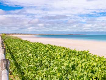 Broome: Tour panoramico e di scoperta - Tour mattutino con trasferimenti