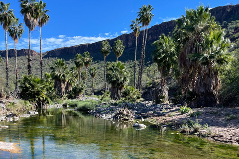 SAN JAVIER MISSION TOUR