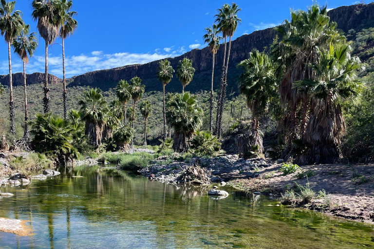 SAN JAVIER MISSION TOUR
