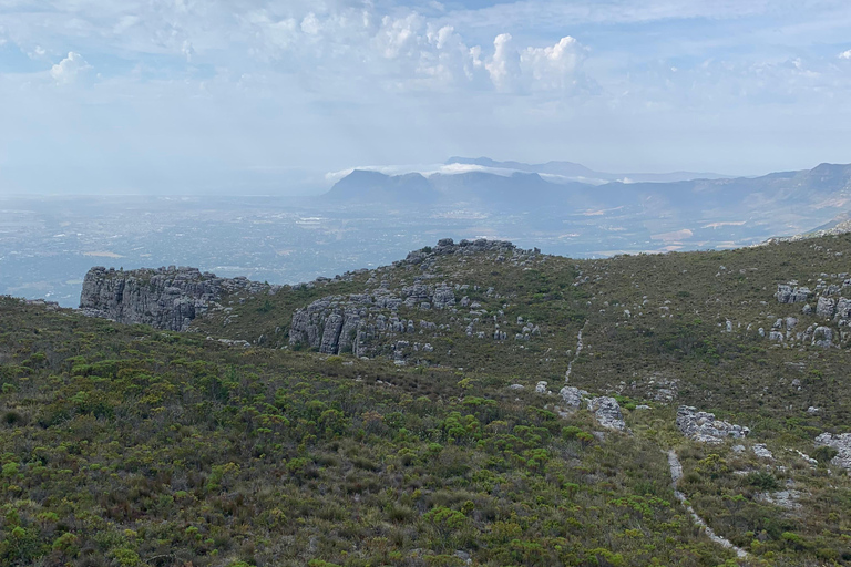 Cape Town: Skeleton Gorge Hike to Table Mountain Summit