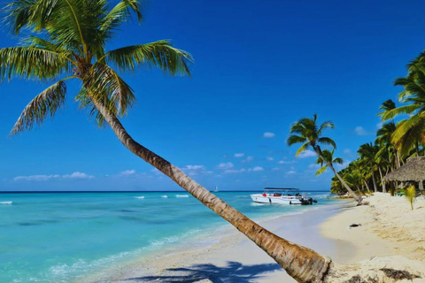 Punta Cana: Saona Island Tour with Lunch & Open Bar