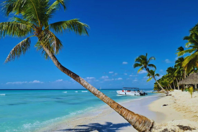 Punta Cana: Saona Island Tour with Lunch & Open Bar