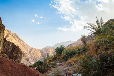 Depuis Sharm : Dahab - Principales attractions et activités - Camp de 2 jours