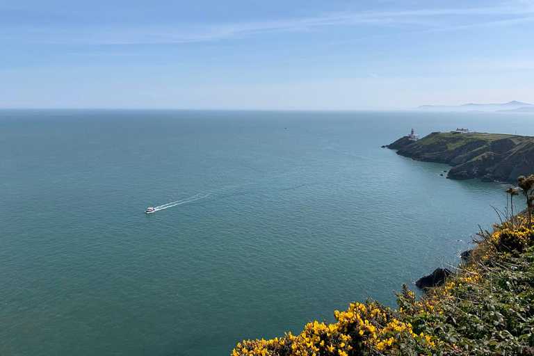 From Dublin: Howth Cliffs Guided Bus Tour