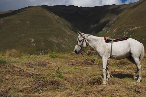 Tbilisi: Kazbegi, Gudauri & Truso Valley 4x4 Adventure
