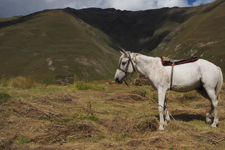 Tbilisi: Kazbegi, Gudauri & Truso Valley 4x4 Adventure