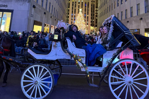 NYC: Central Park Christmas Lights Horse-Drawn Carriage Ride