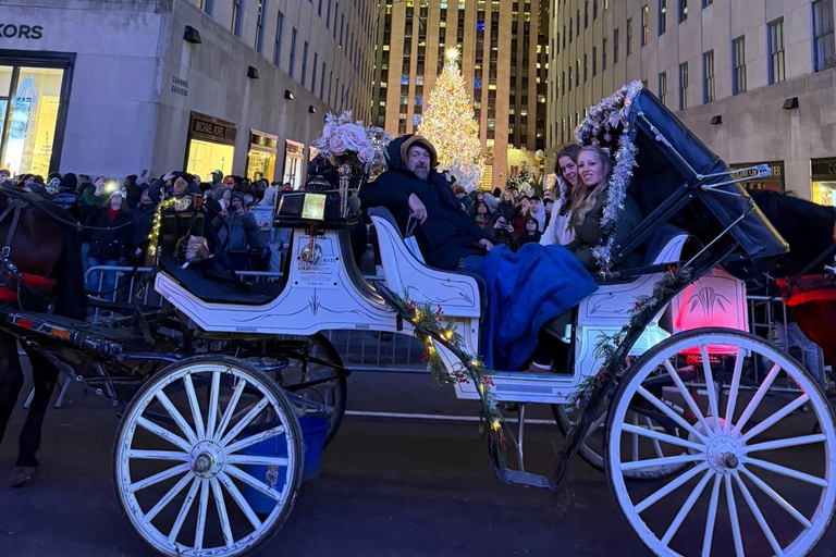 NYC: Central Park Christmas Lights Horse-Drawn Carriage Ride