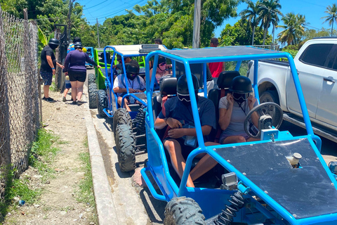 Puerto Plata: Buggy Ride, Monkey Home