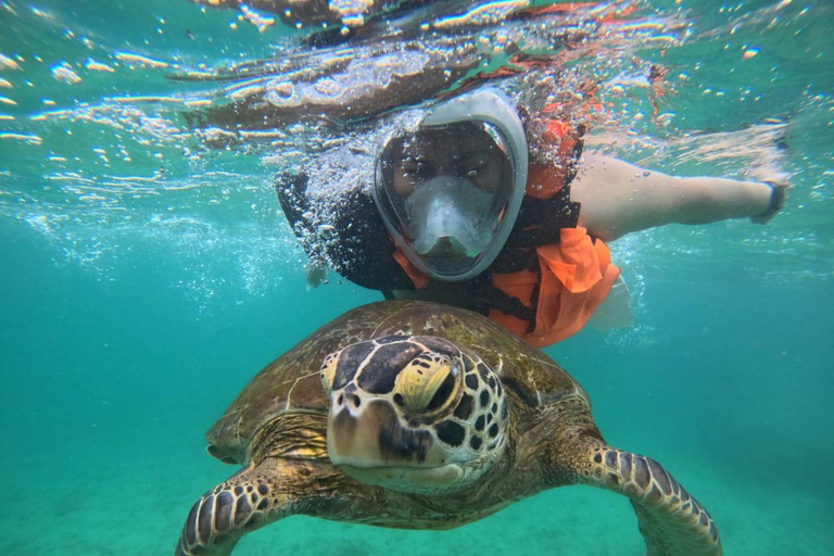 Mirissa Turtle Snorkeling Free Underwater Photos & pickup