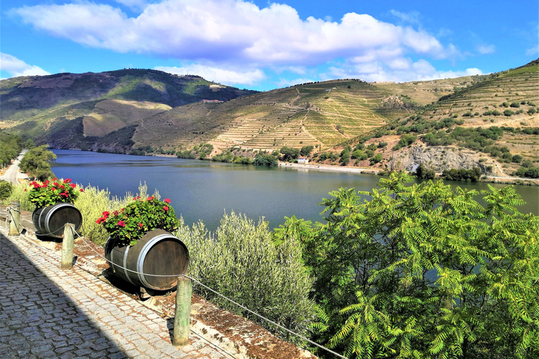 Porto: Private Tour durch das Douro-Tal mit Portweinverkostung und Mittagessen