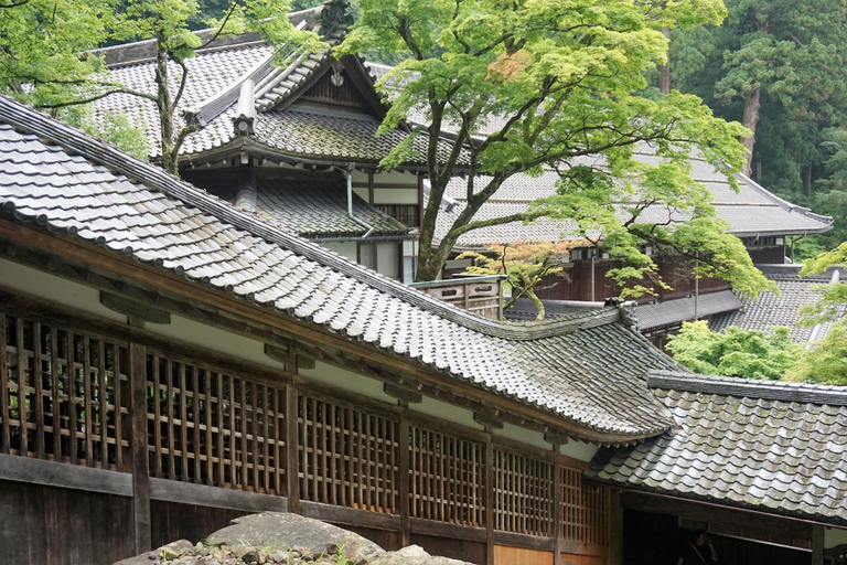 Von Kanazawa: Buddhistischer Tempel Eiheiji und Schlossstadt FukuiVom Bahnhof Fukui einsteigen