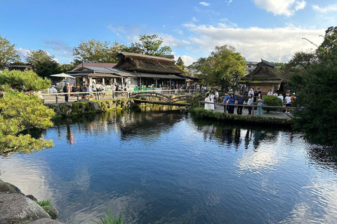 Von Tokio aus: Exklusive Mount Fuji &amp; Hakone Tagestour in EngBerg Fuji und Hakone: Geführte Tour