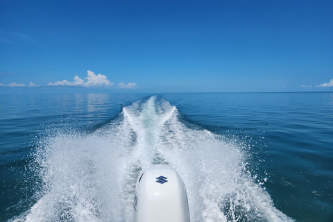 Lower Florida Keys: Private Boat Tour with Local Captain Lower Florida Keys: Private Four-Hour Sandbar Charter