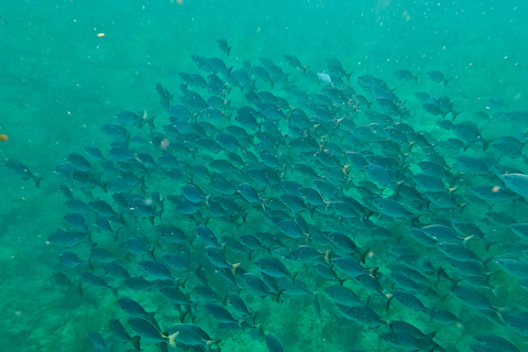 Ft Lauderdale: Combo Deal Snorkel Reefs, Kayak/SUP Mangroves
