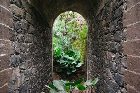 Icod de los Vinos: entrada al árbol del dragón y al jardín botánico