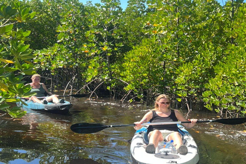 Zanzibar: Mangrove Kayak Tour with Snorkeling and Guide