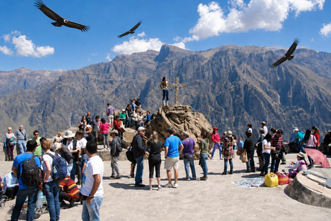 Arequipa: Colca Day Trip with Views & Condor