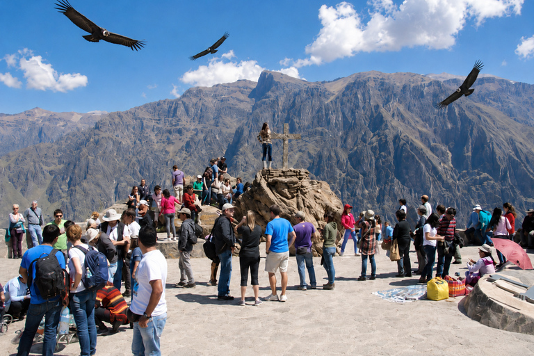 Arequipa: Colca Day Trip with Views & Condor