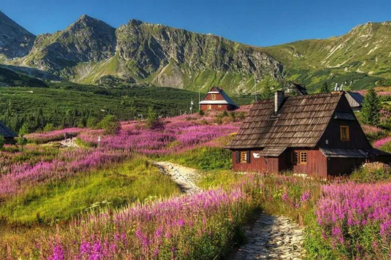 كراكوف: جولة زاكوباني ومورسكي أوكو وتذوق الجبن