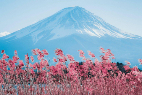 Tokyo: Full-day tour of the four Majestic spots of Mt Fuji