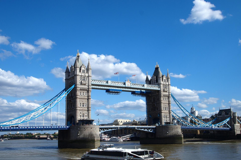 Full Day London Tour in a Private Vehicle with Admission