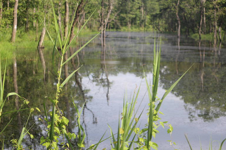 Kathmandu: Chitwan National Park & Lumbini 4-Day Tour